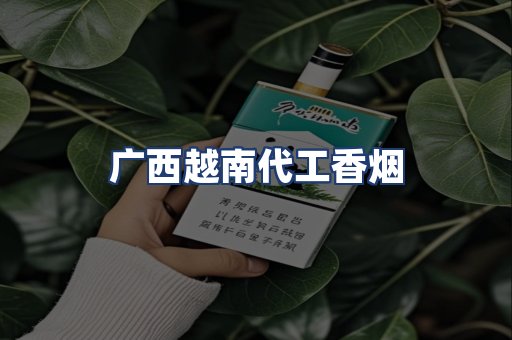 广西越南代工香烟